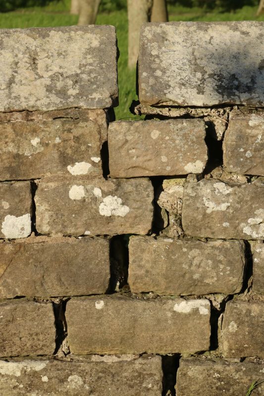 Stone Wall Repair in Thomaston, CT